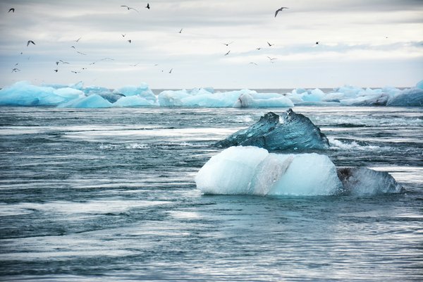 Comment choisir une croisière qui offre des excursions pour découvrir les glaciers en Alaska?
